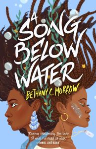 A Song Below Water Cover