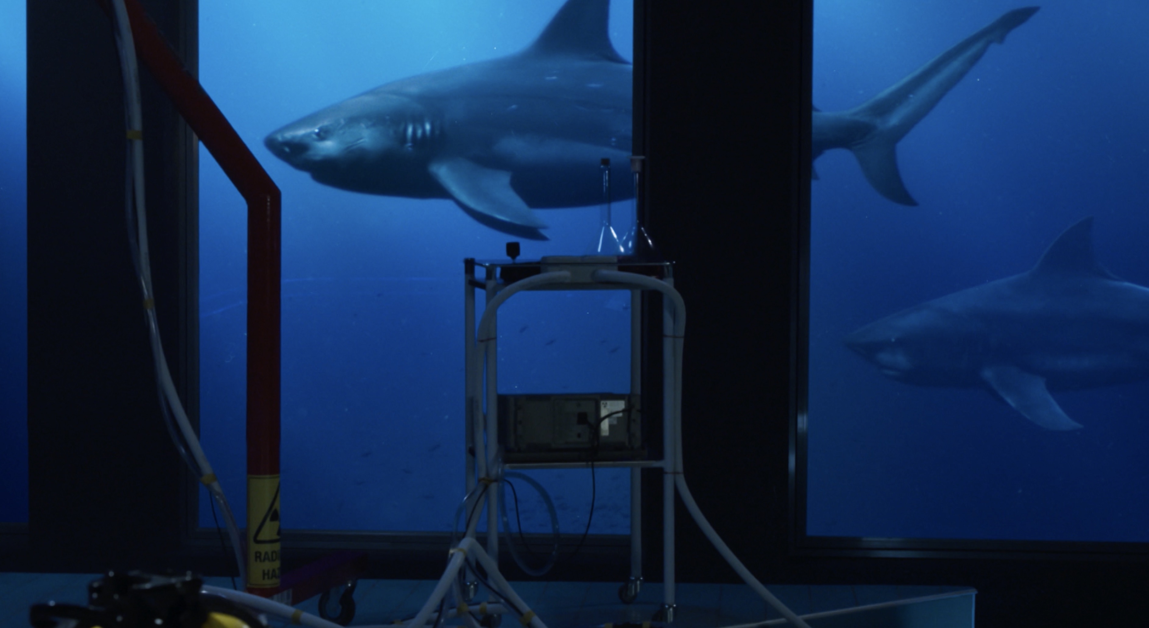 Deep Blue Sea 3 Exists and Has a Trailer Now Den of Geek