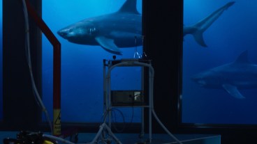 Deep Blue Sea 2