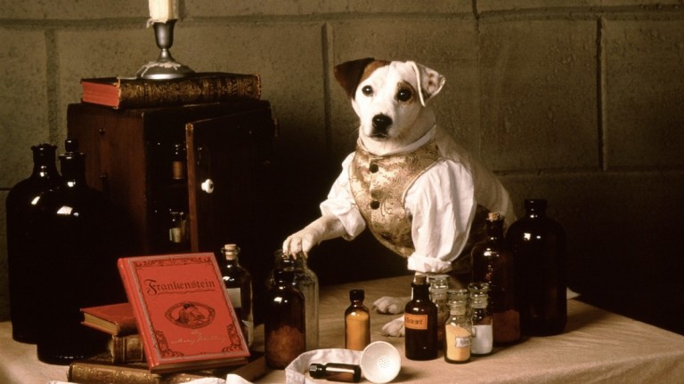 Wishbone Movie