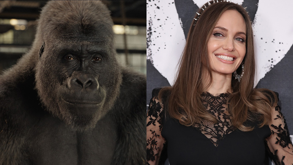 Angelina Jolie Calls The One And Only Ivan A Disney Movie That Deals With Heavy Issues Den Of Geek Angelina Jolie Calls The One And Only Ivan A Disney Movie That Deals With Heavy Issues Den Of Geek