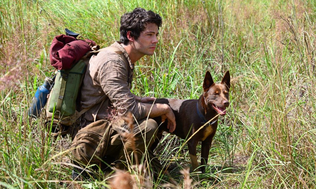 Dylan O'Brien in Love and Monsters