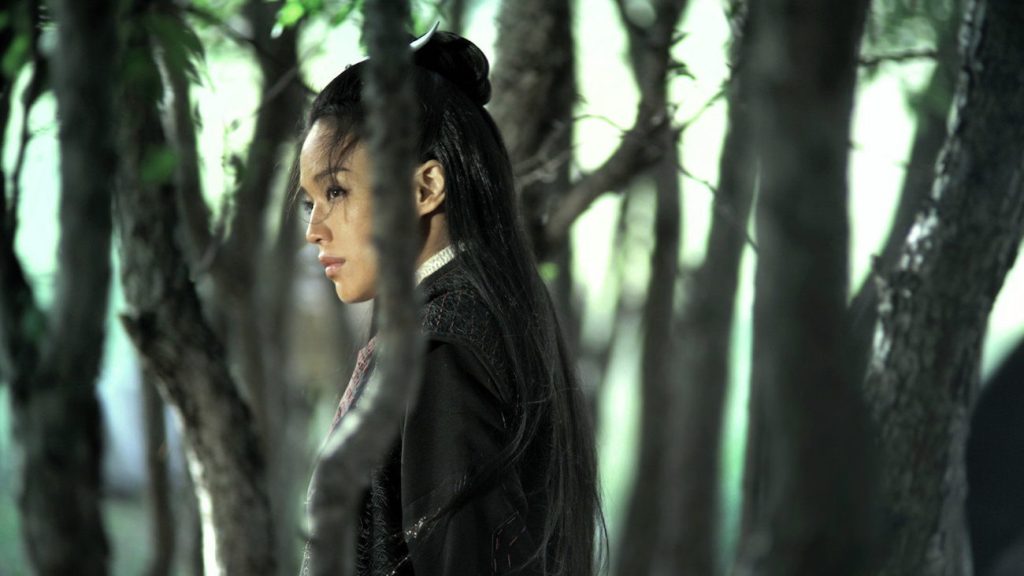Cannes film The Assassin (2015)