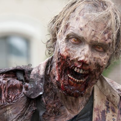 The Walking Dead Zombie Walkers