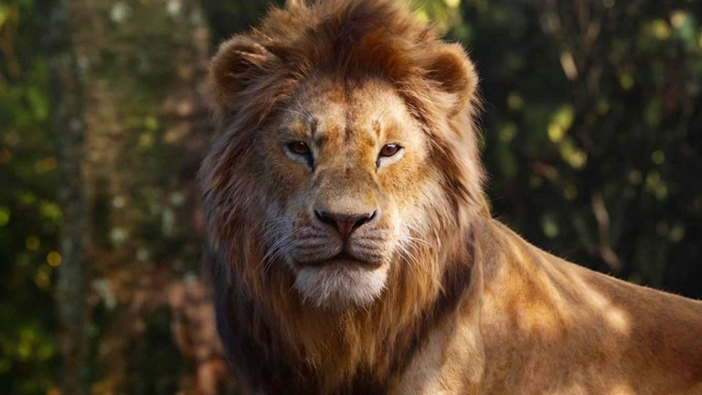 Simba (Donald Glover) in The Lion King