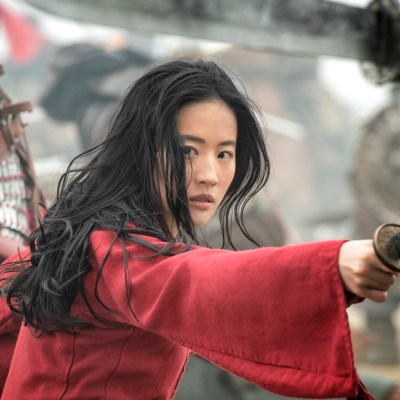 Yifei Liu as Mulan