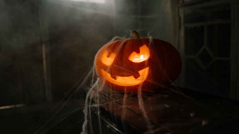 jack o lantern covered in spider web