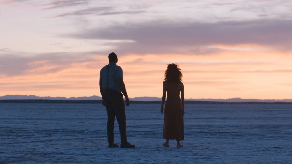 Nine Days at AFI Fest