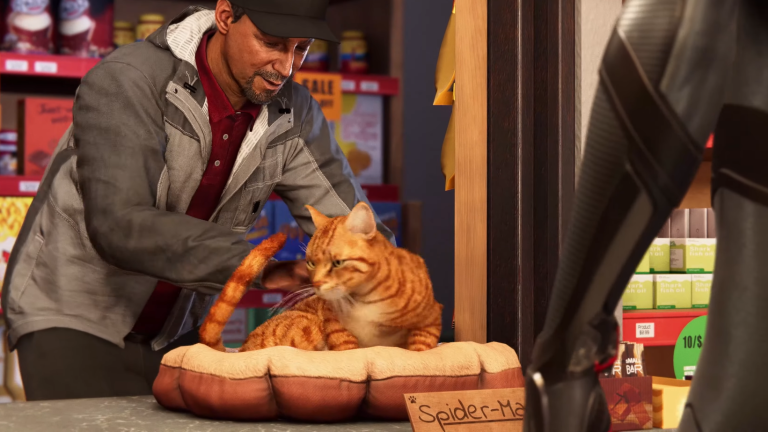 Spiderman Miles Morales with Spider-cat