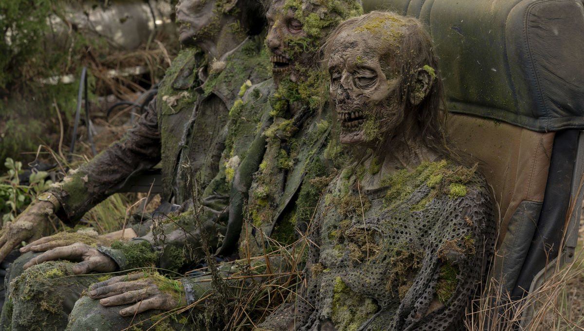 The Walking Dead vs. Real-Life Survivalists: How to Prep ...