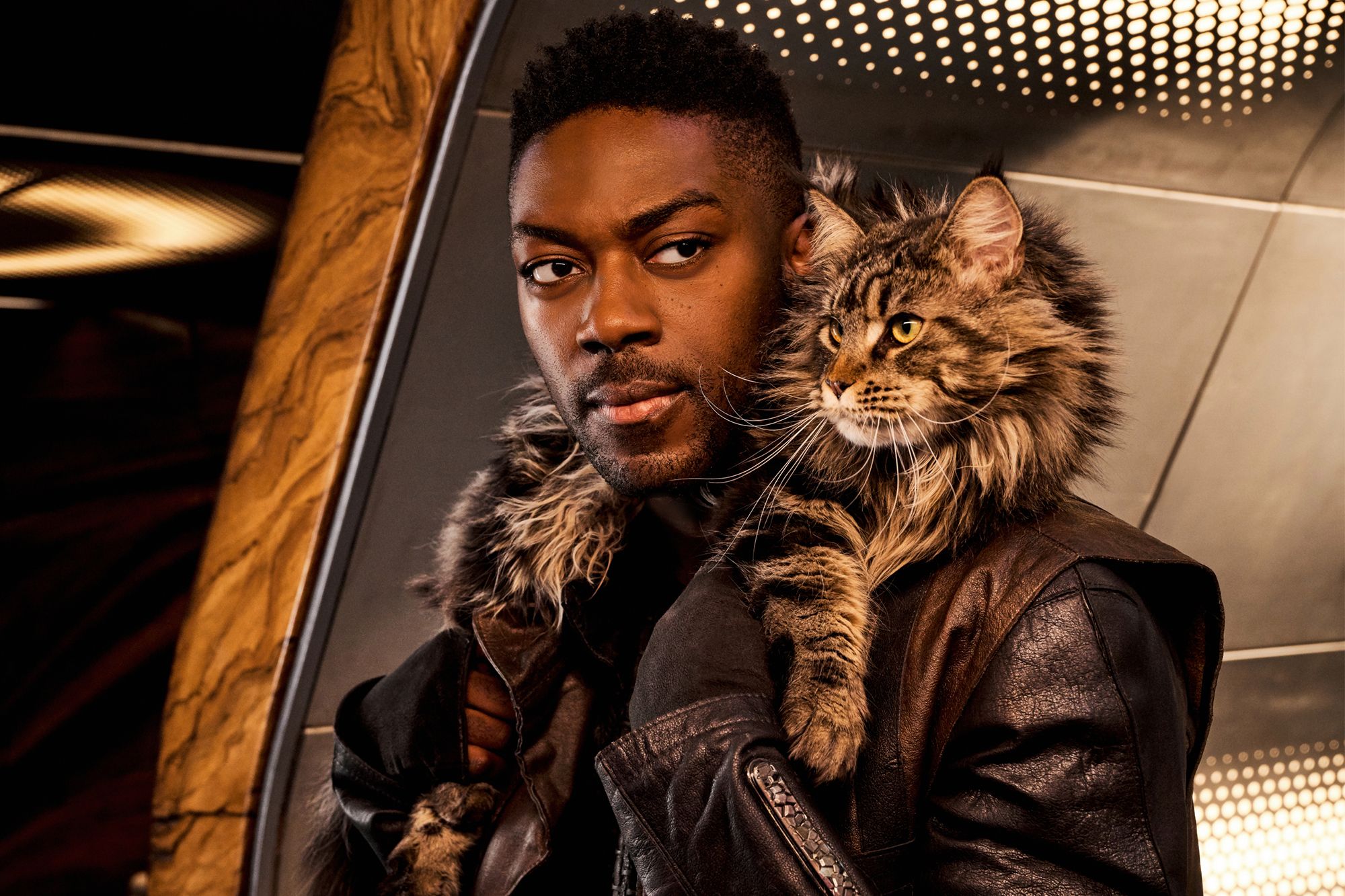 Is There More to Star Trek Discovery�s Cat Than Meets the Is There More to Star Trek Discovery�s Cat Than Meets the