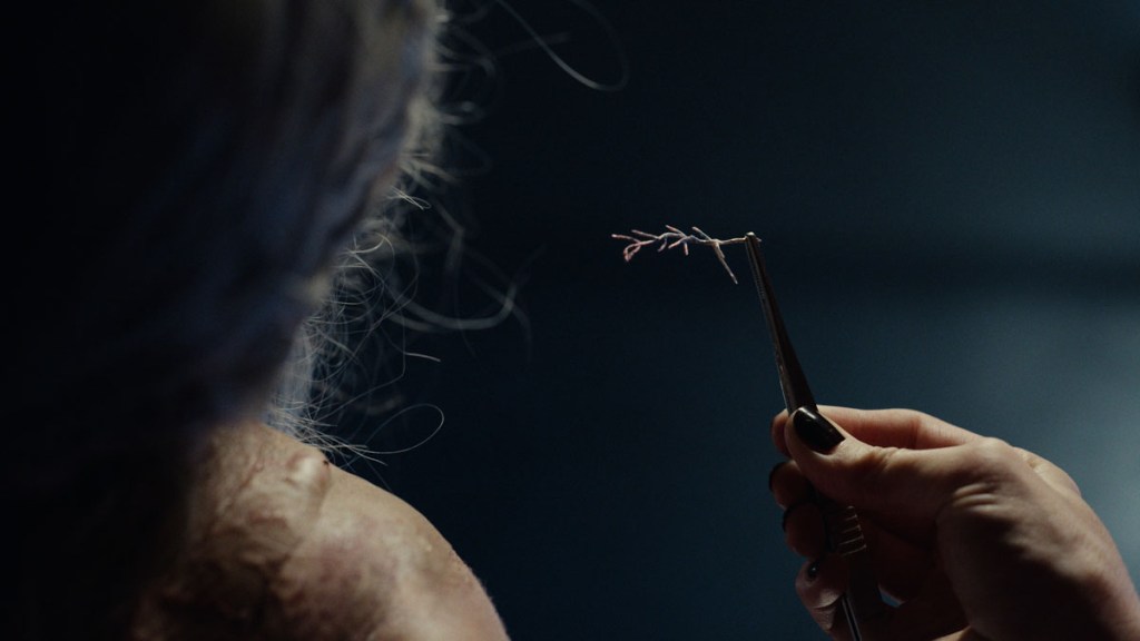 Mrs Coulter removes cloud-pine from Katya His Dark Materials