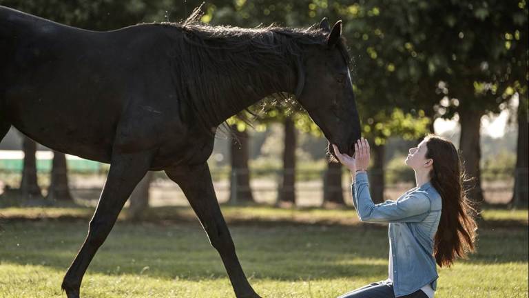 Mackenzie Foy in Black Beauty