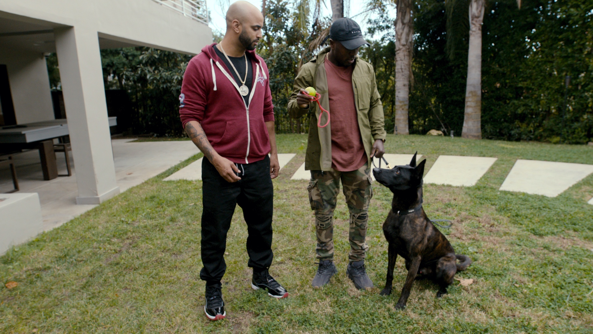 Ranking the Best Dogs from Netflix�s Canine Intervention Ranking the Best Dogs from Netflix�s Canine Intervention