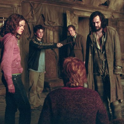 Harry Potter TV Show Marauders