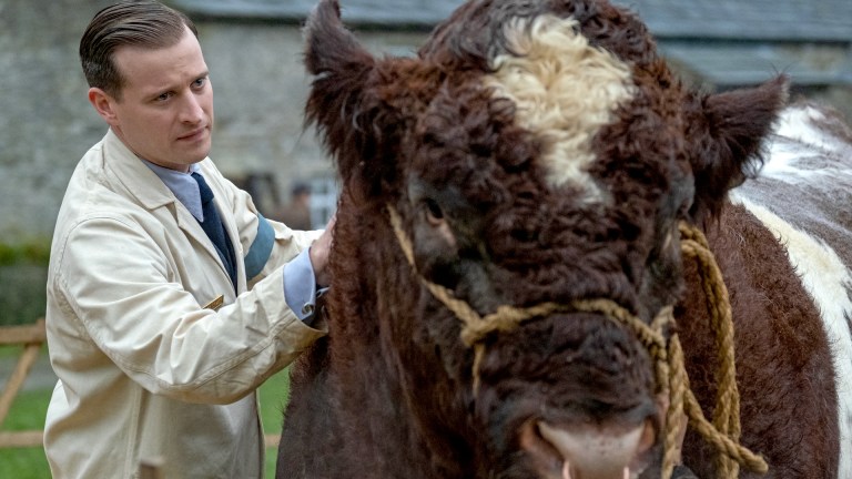 James Herriott and a Fuzzy Cow in All Creatures Great and Small