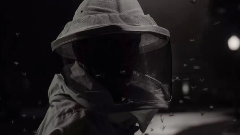 The Beekeeper in Marvel's WandaVision