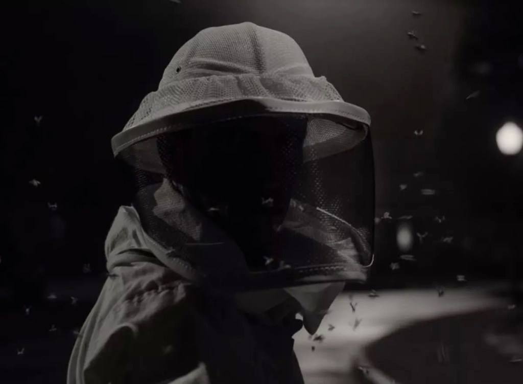 The Beekeeper in Marvel's WandaVision