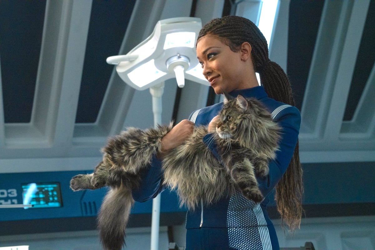 Star Trek Discovery Season 4: What to Expect - Den of Geek