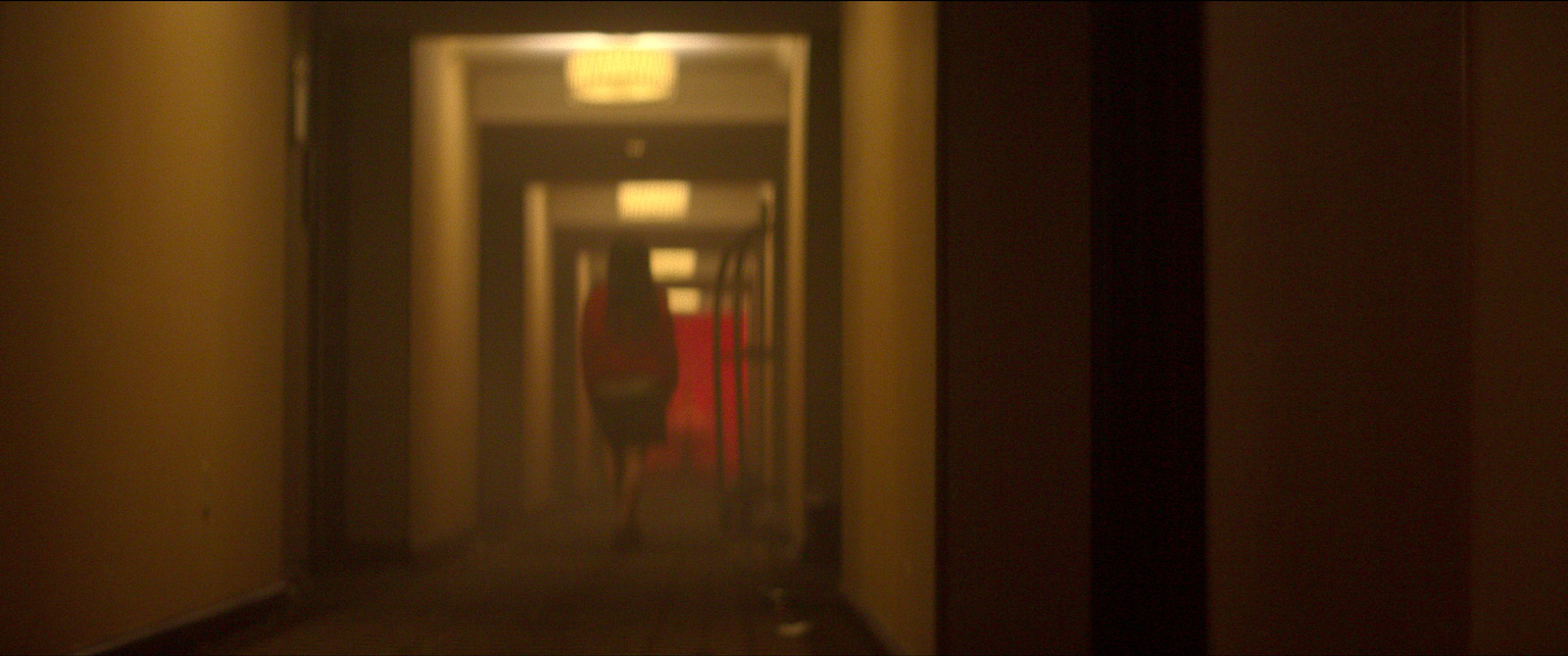 Crime Scene: The Vanishing at the Cecil Hotel - The Elisa Lam Case