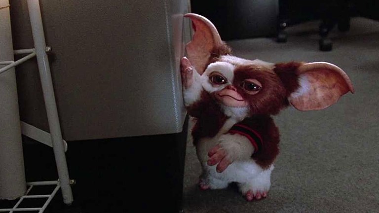 Gizmo in Gremlins 2: The New Batch