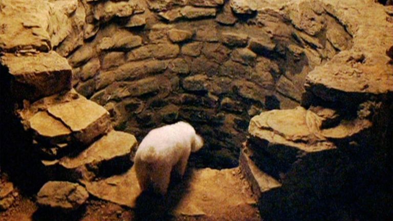 The Silence Of The Lambs pit