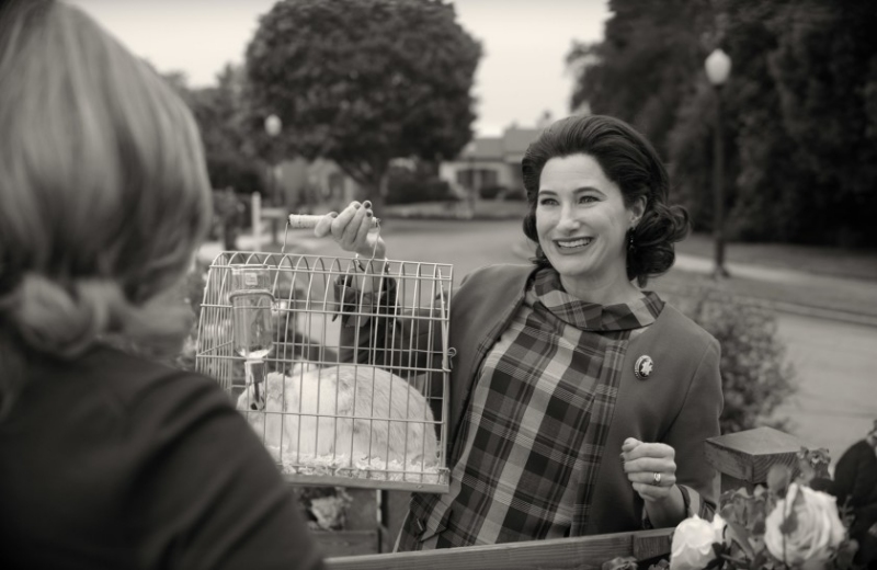 Kathryn Hahn as Agnes in Marvel