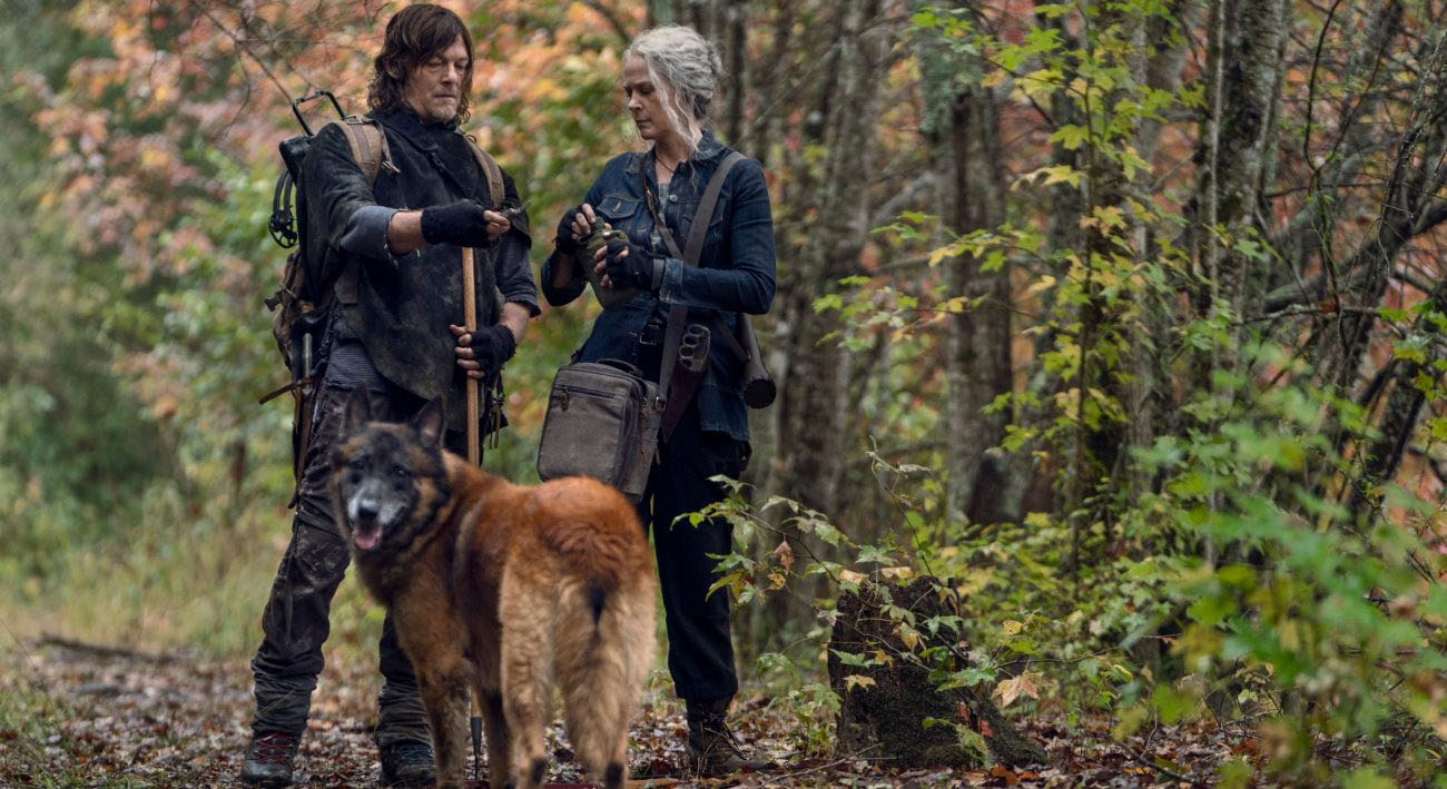 The Walking Dead Daryl's Dog Origin Revealed in Exclusive