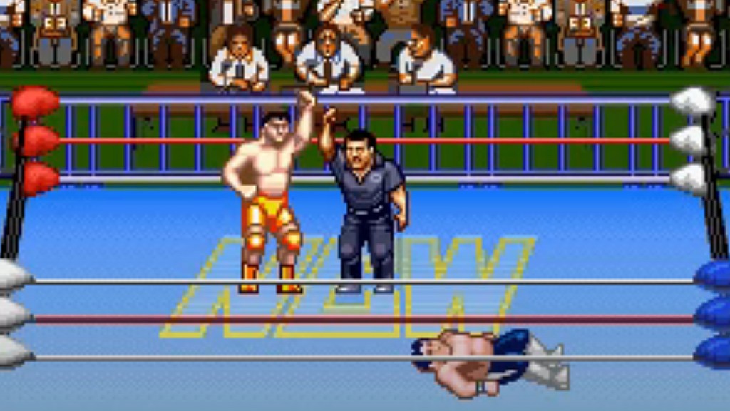 Natsume Championship Wrestling super nintendo