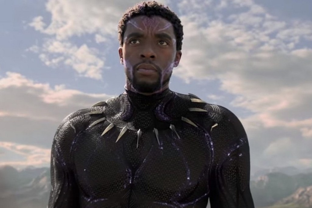 Chadwick Boseman in Black Panther