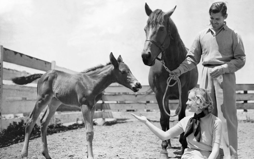 Clark Gable and Carole Lombard with horses in Encino ranch