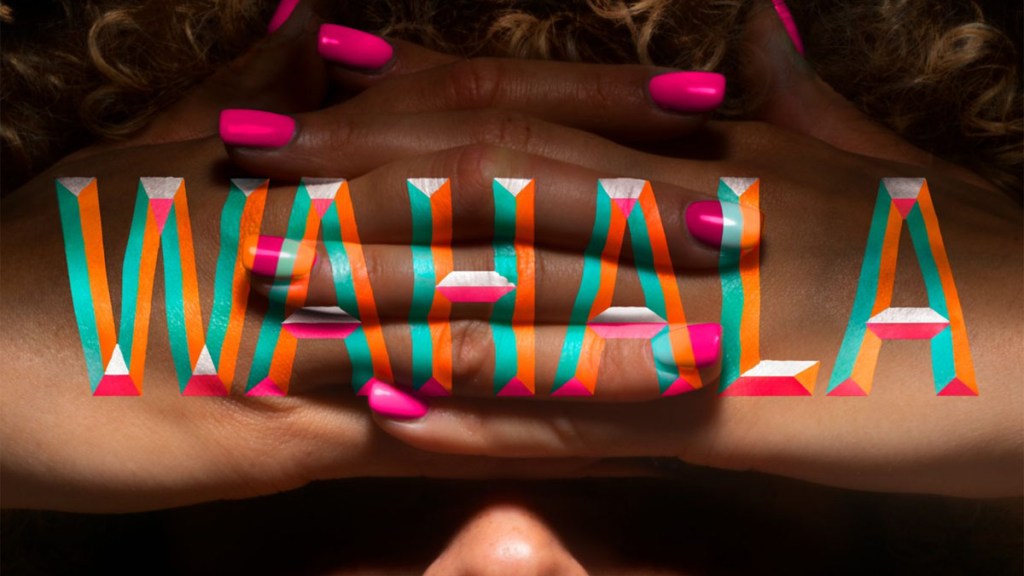 Wahala book cover cropped