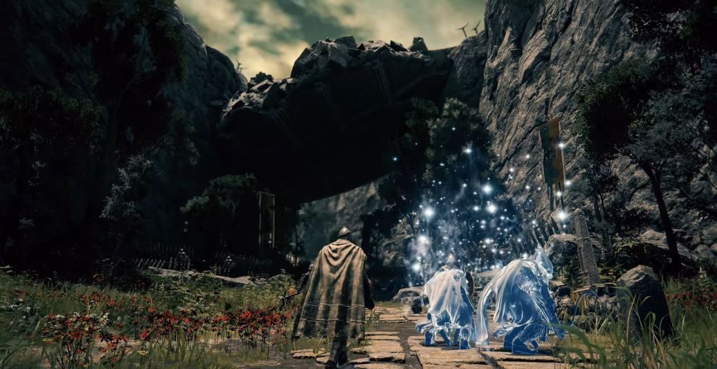 Elden Ring co-op phantoms