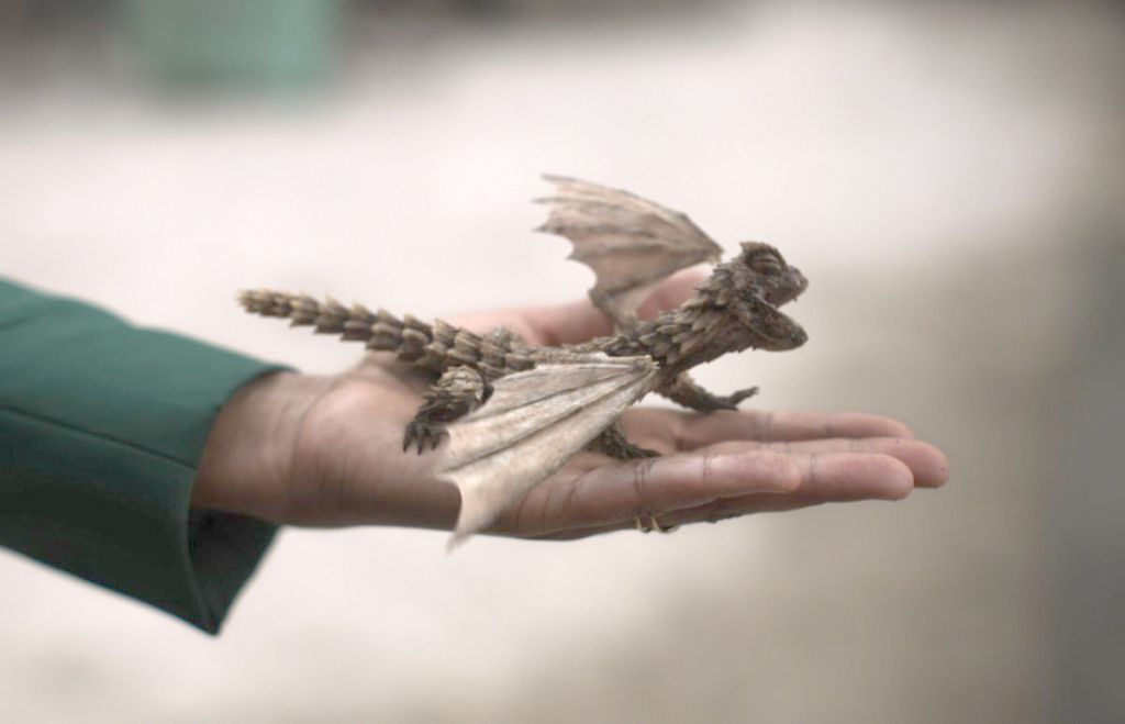 Goodboy, the tiny dragon in The Watch