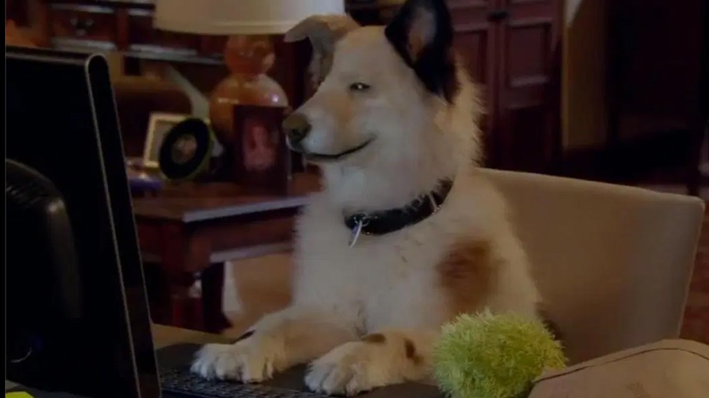 Dog with a Blog Disney Channel