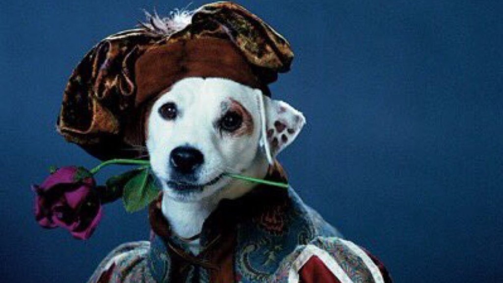 Wishbone dog
