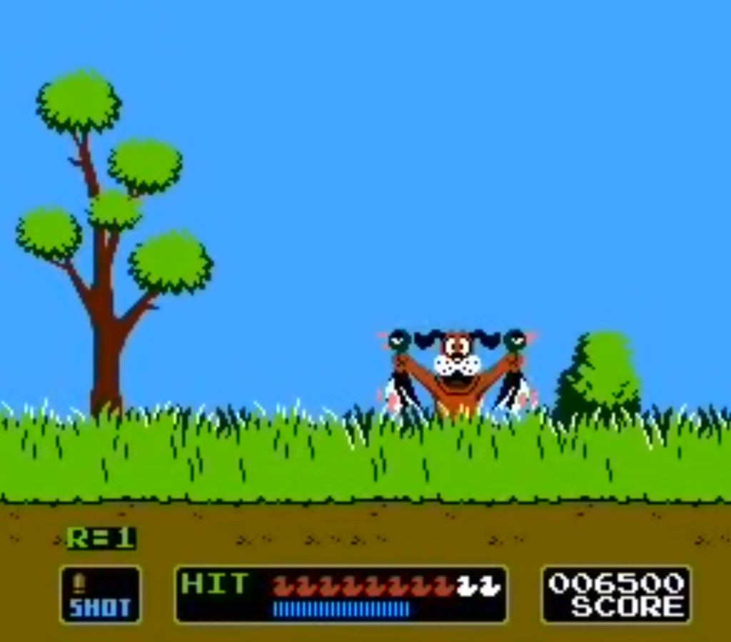 Duck Hunt NES