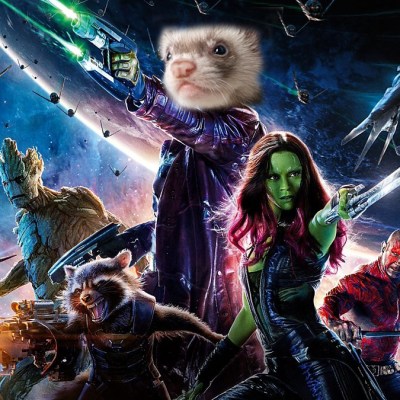 Guardians of the Galaxy poster starring...a ferret