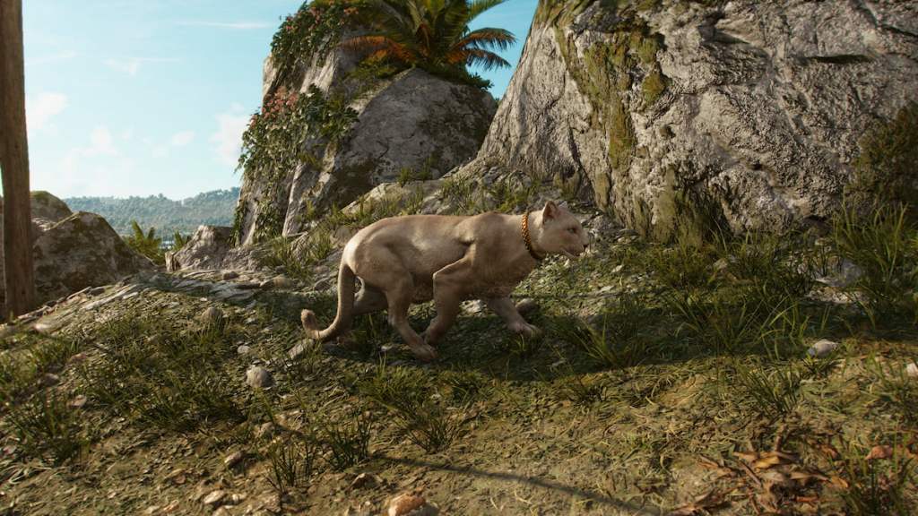Champagne Far Cry 6