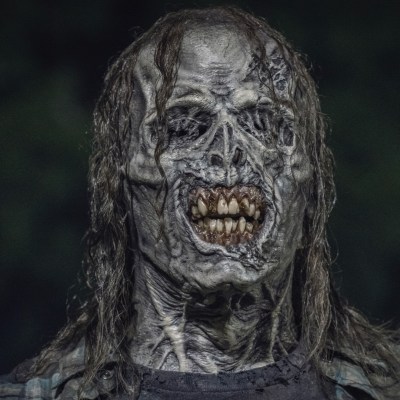 The Walking Dead zombie