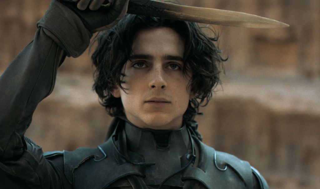 Timothee Chalamet in Dune