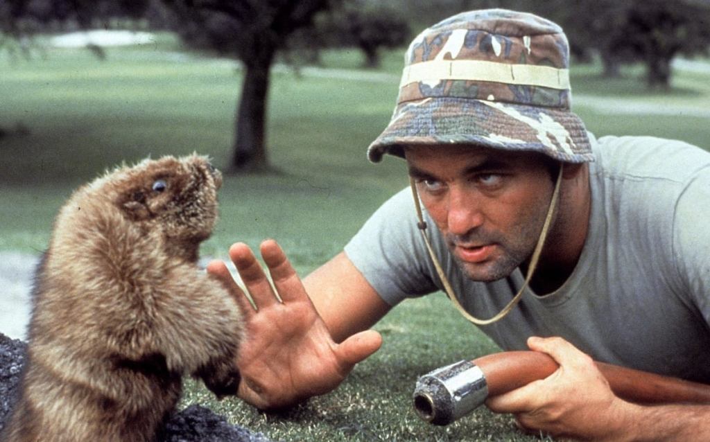 Bill Murray and gopher in Caddyshack
