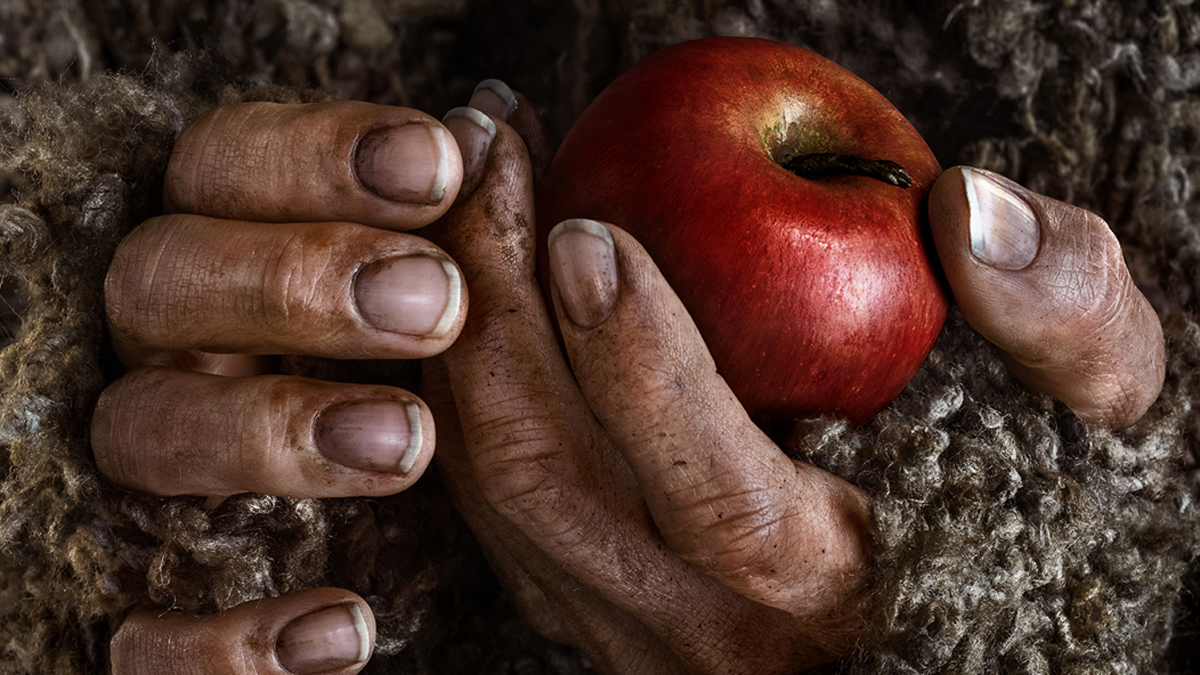 Senhor dos Anéis: Os Anéis do Poder – Quem é quem nos pôsteres de personagens? Senhor dos Anéis: Os Anéis do Poder – Quem é quem nos pôsteres de personagens?