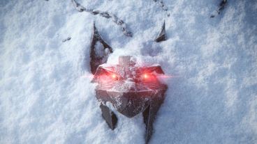 The Witcher