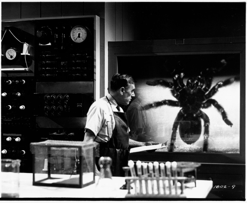 Tarantula