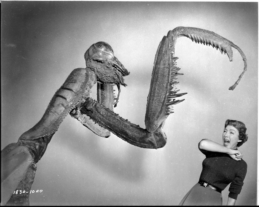 The Deadly Mantis
