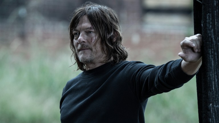 The Walking Dead Daryl Norman Reedus