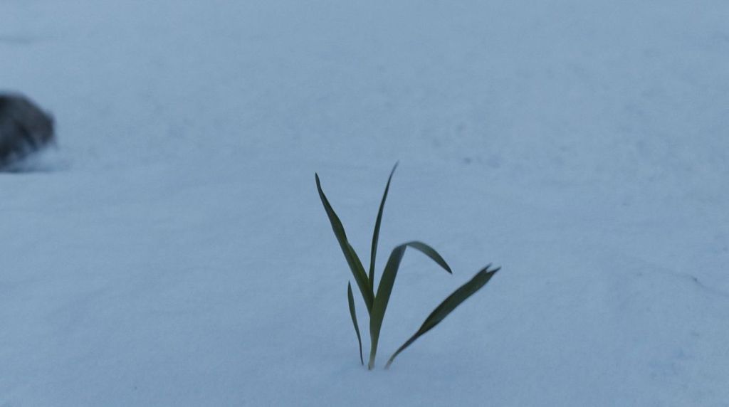 Blade of glass in Game of Thrones Finale