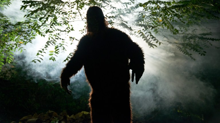 Talking Strange Bigfoot