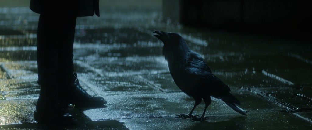 The Sandman. Patton Oswalt as Matthew the Raven (voice) in episode 103 of The Sandman. Cr. Courtesy of Netflix © 2022